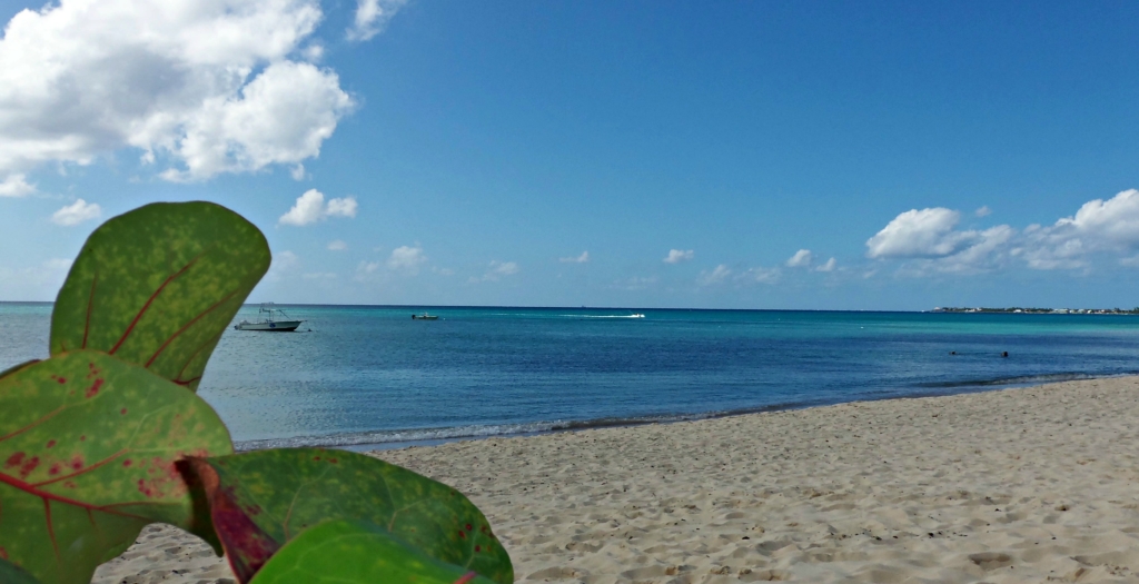 Seven Miles Beach Cayman Islands